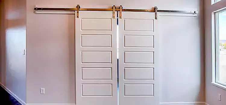 Glass Barn Door with Installation Hardware Kit Baldwin Park